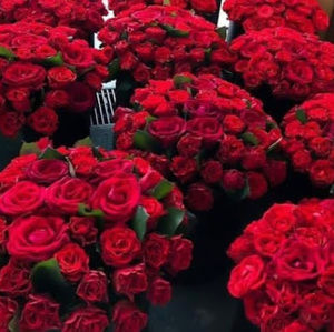 Meet your Posher, Hwaida